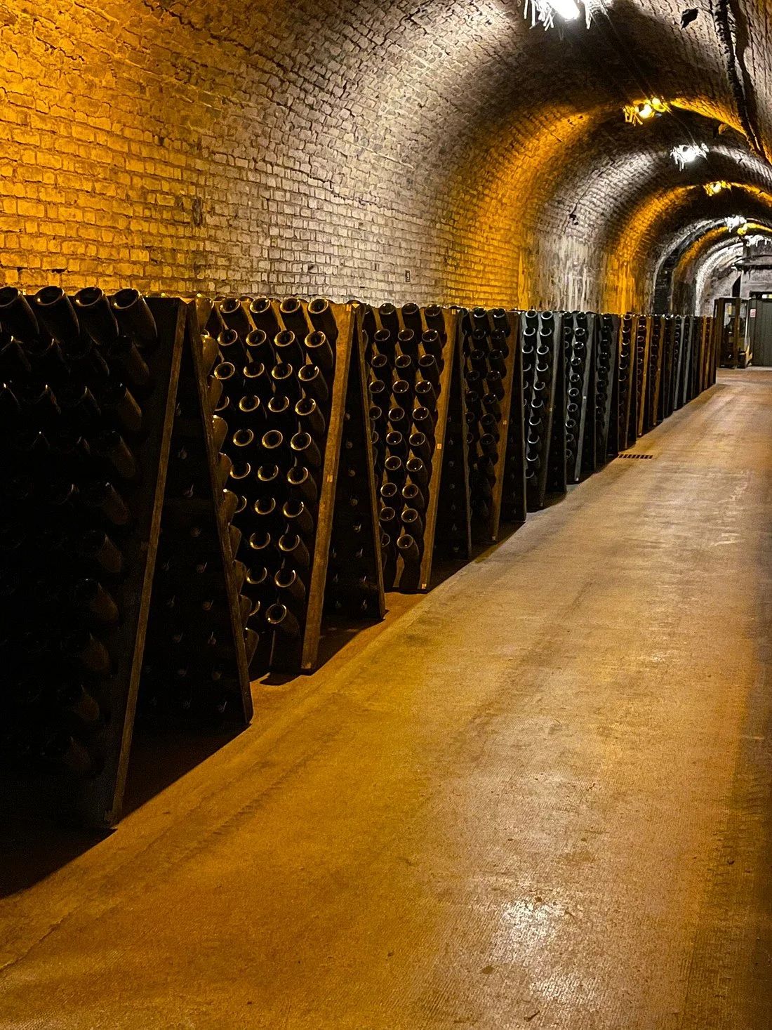 香槟葡萄园旅行,旅游香槟