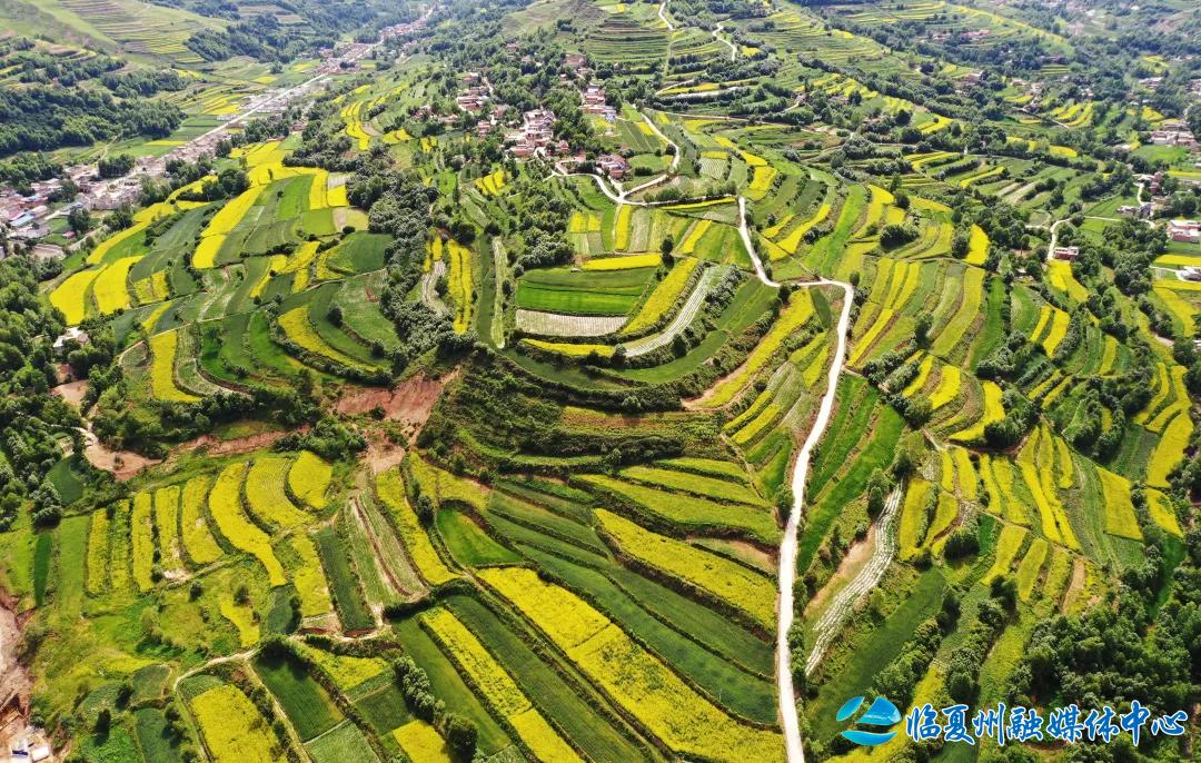 2024骞村宸磋兒閰嶈壊,缁胯壊鐨勫宸磋兒閰嶈壊