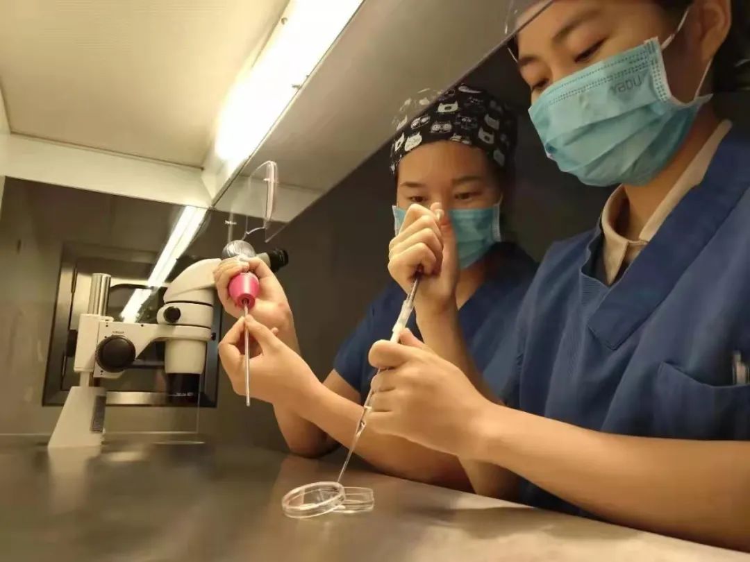 三八女神节妇科活动策划,襄阳中心医院三八妇女节活动