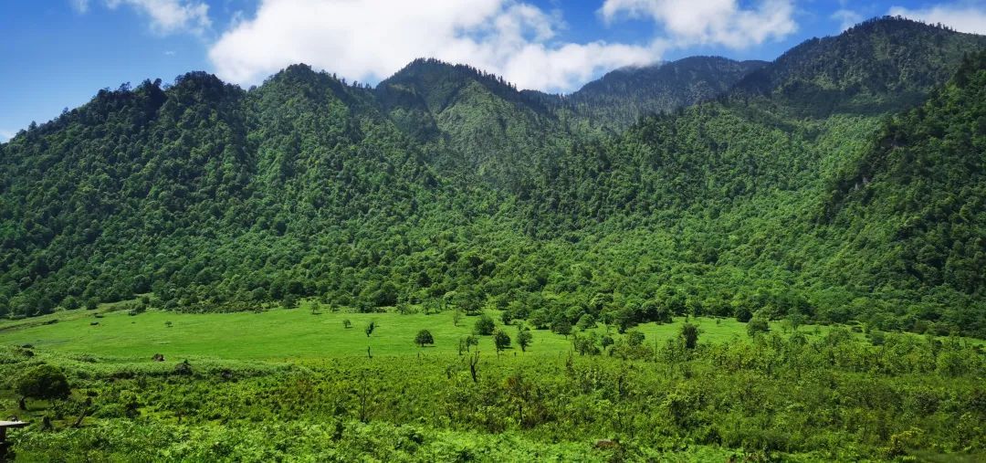 黑竹沟火把节现场视频,黑竹沟晚会