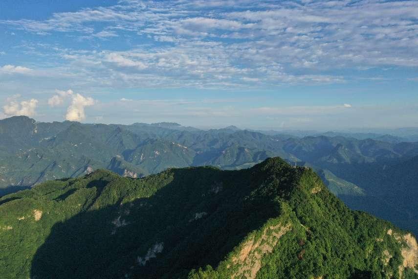 金徽老窖产地是哪里,金徽老窖酒品鉴