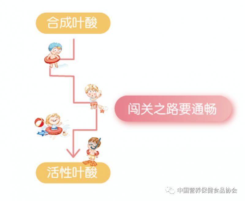 叶酸的知识你了解吗,叶酸应该如何选择