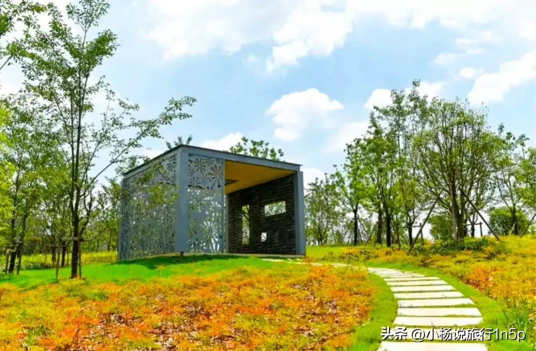 涔変箤鑾插鍏洯,涔変箤鑾插鍏洯鐜扮姸