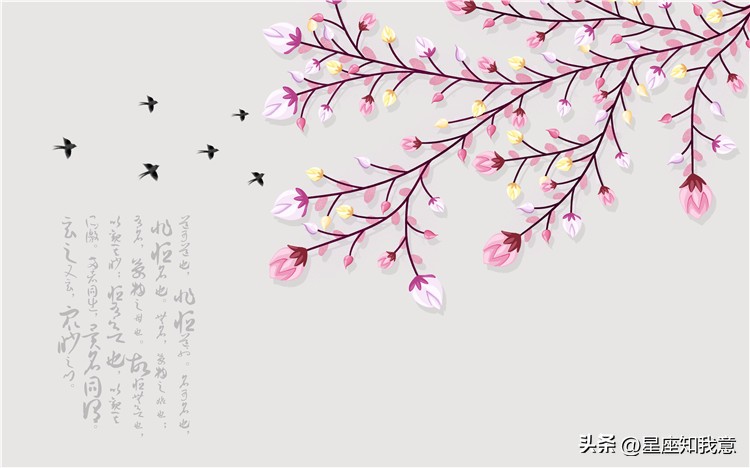 佩妮2021年星座运势完整版巨蟹座,佩妮12月摩羯座运势