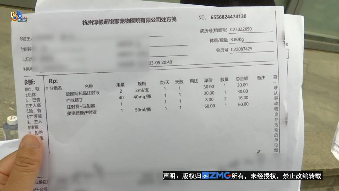 泰迪犬一旦出现这几个行为,泰迪犬能维持一个月吗