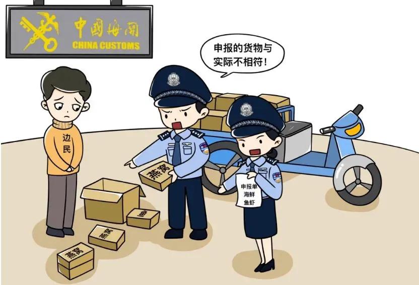 通过案例分析海关查验的重要性,海关查验监管流程