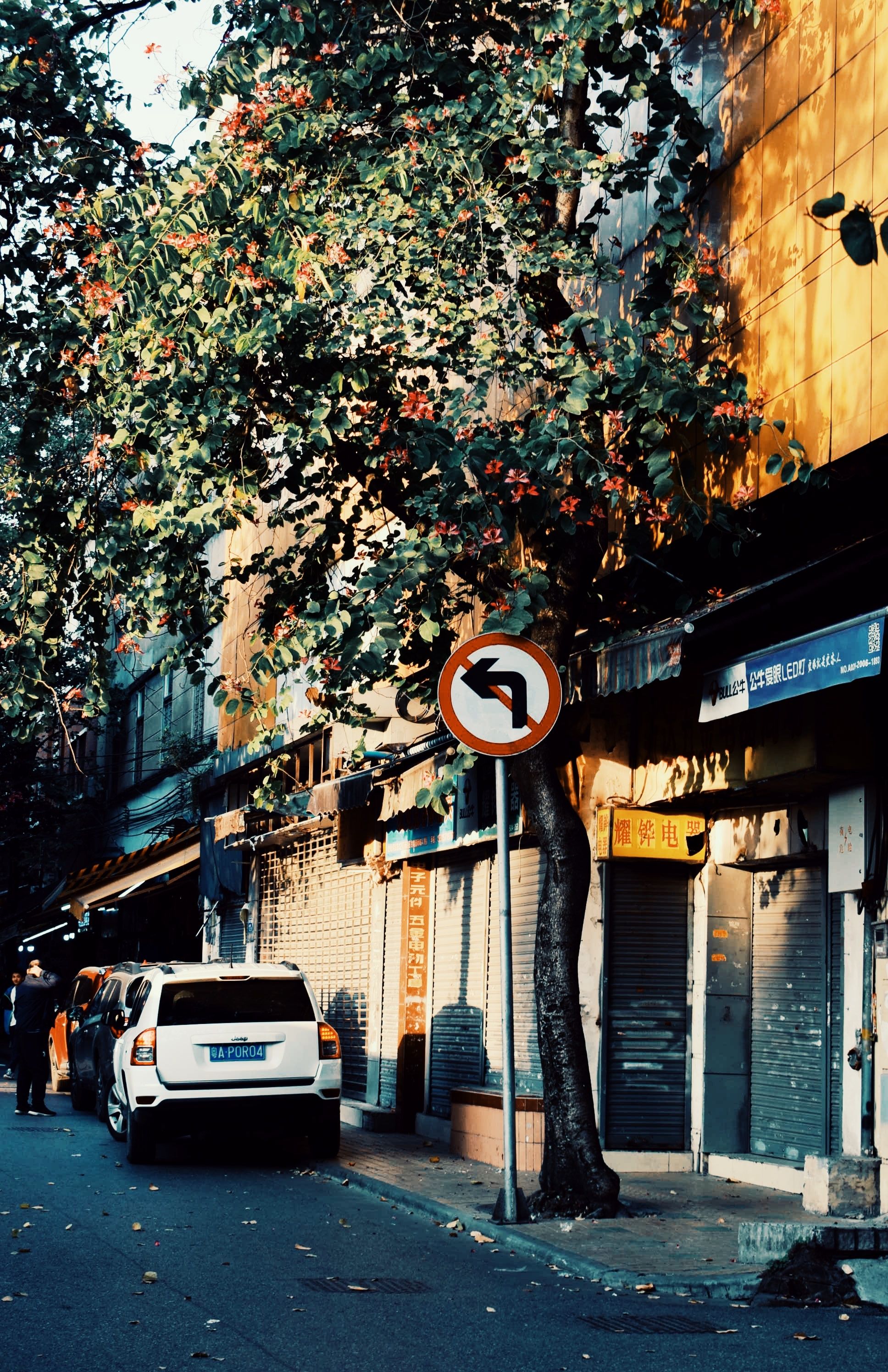 中国的问题实在太复杂了