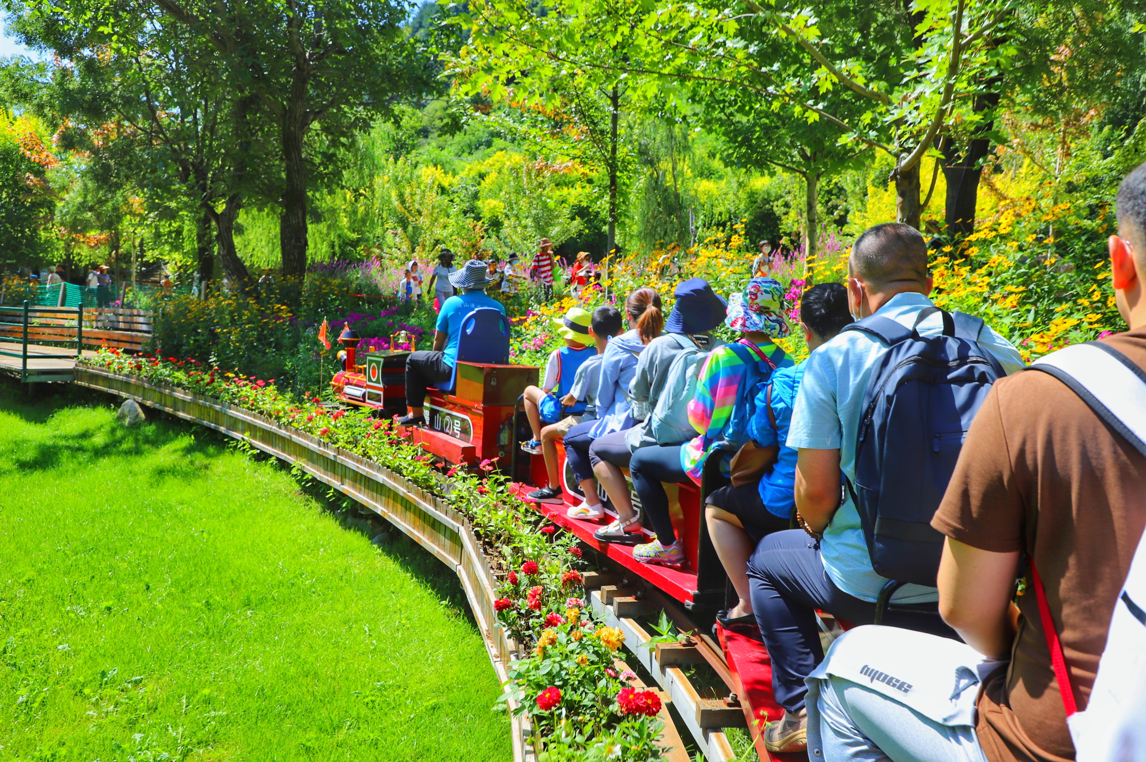 漫山花溪谷的美,花溪民宿漫山花溪谷