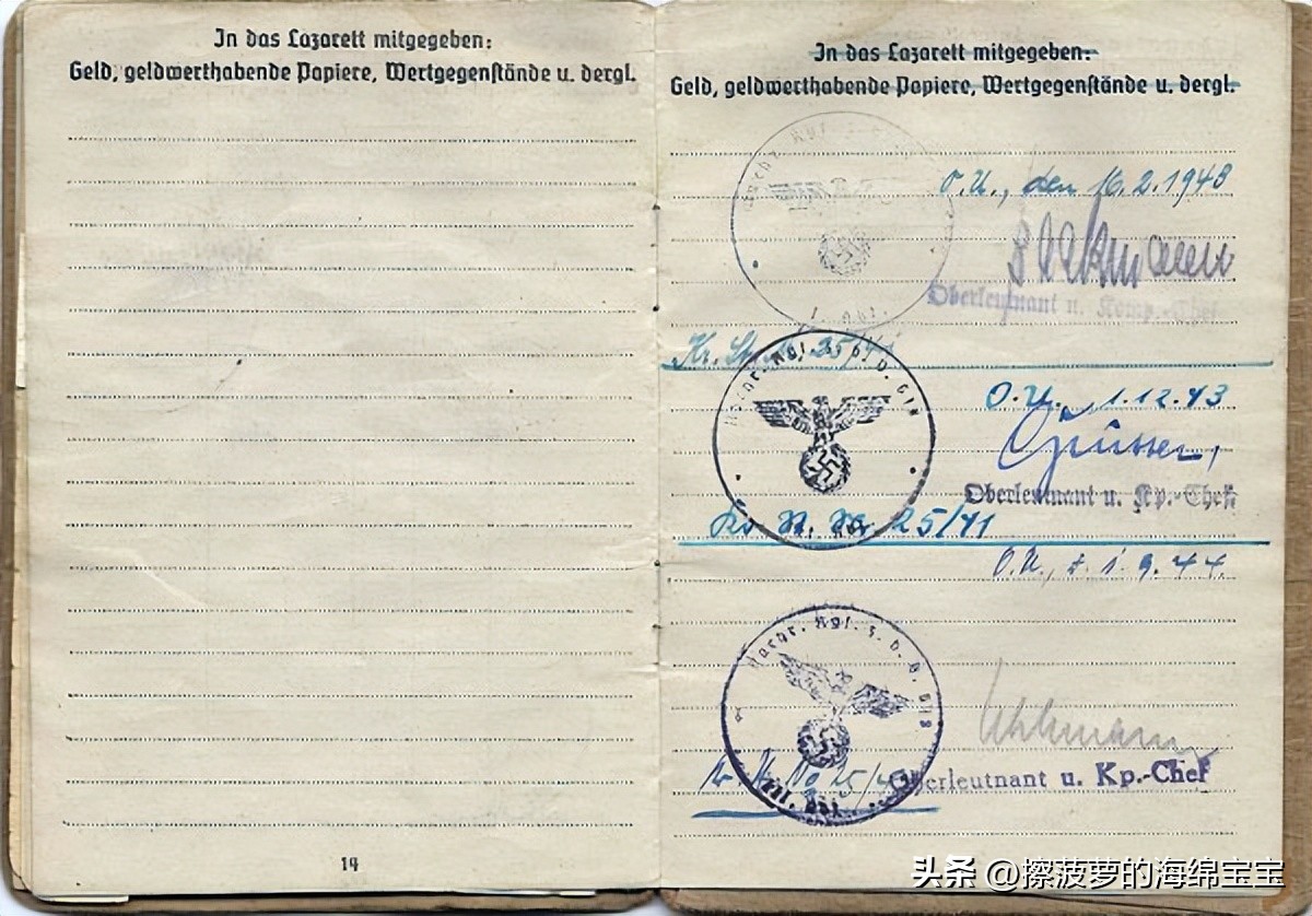 二战时德国军人的肩章,二战德国兵种领章