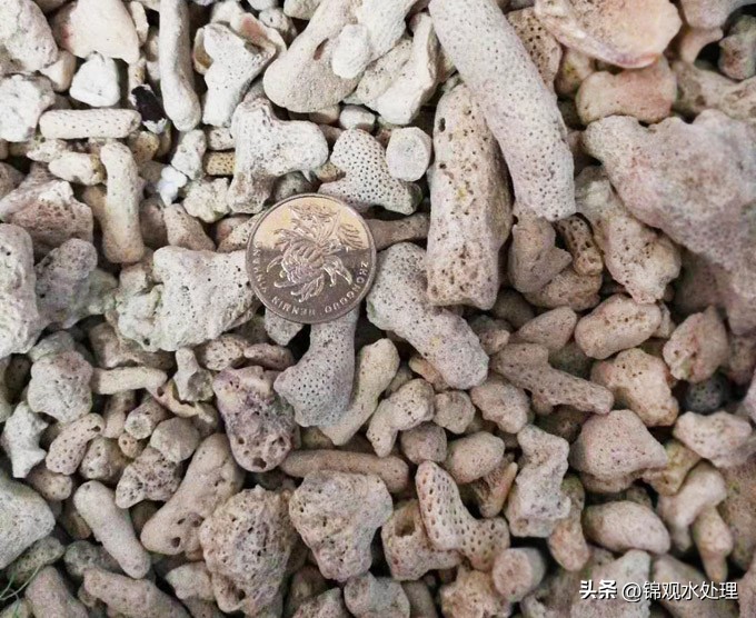 鱼池过滤材料用哪种好,庭院鱼池过滤材料有哪些