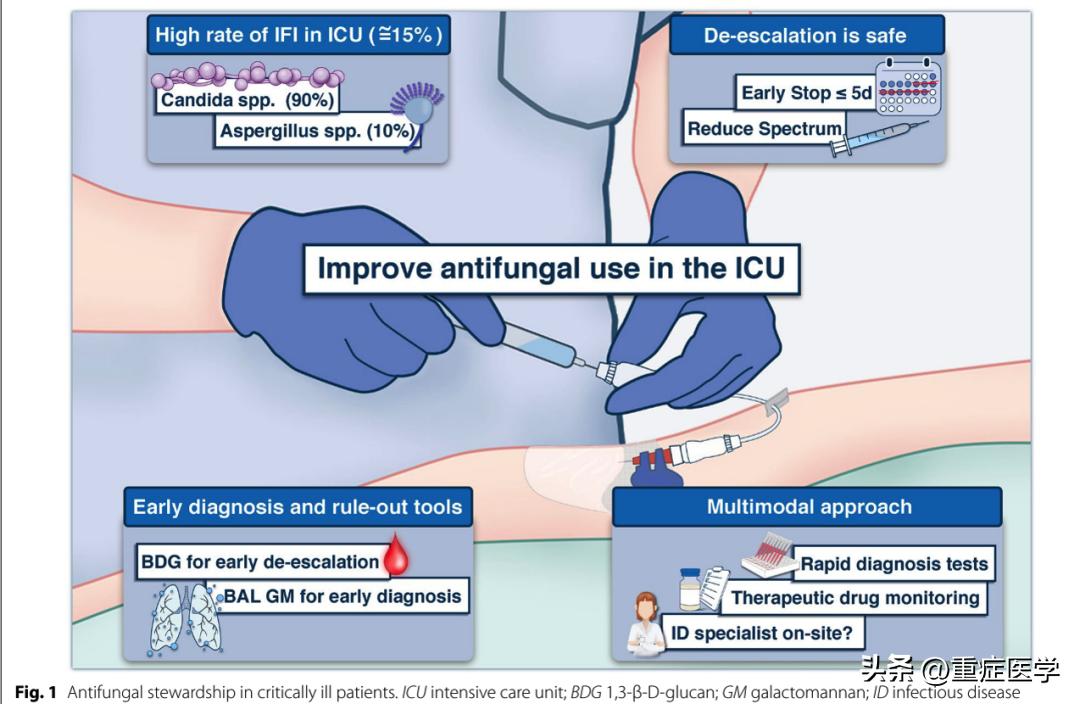 危重患者的抗真菌管理