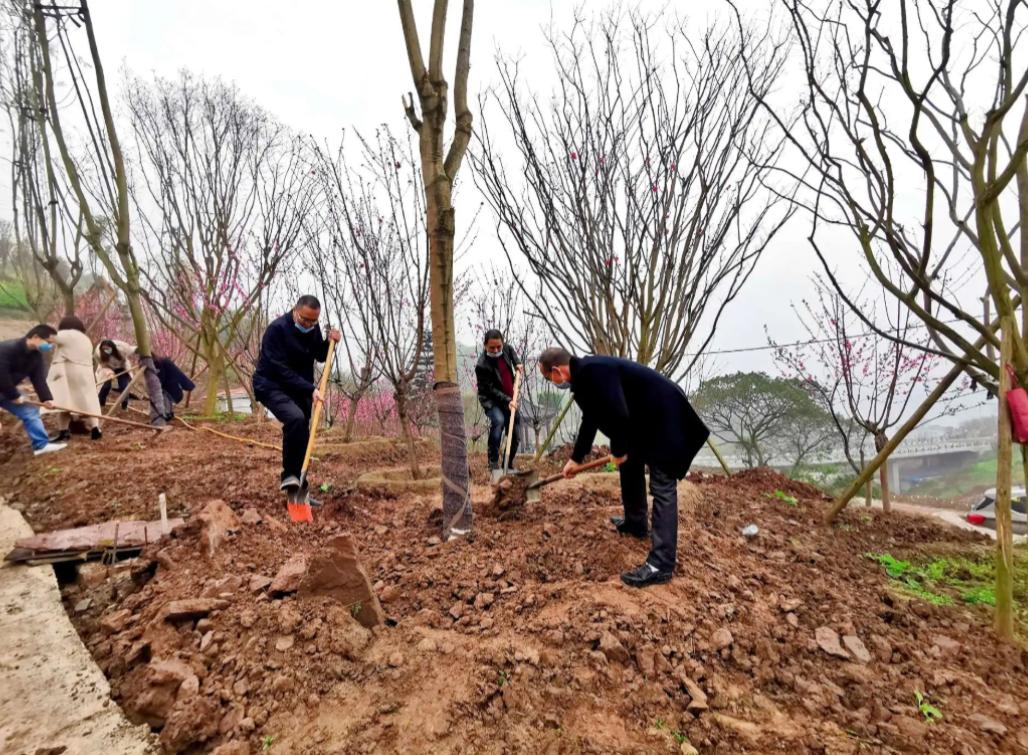 爷爷埋了黄金挖出来,爷爷40年前埋的东西