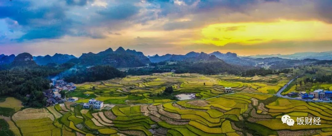 卡塔尔世界杯在冬季开幕，各类感冒药遭到国人抢购|每周热点回顾