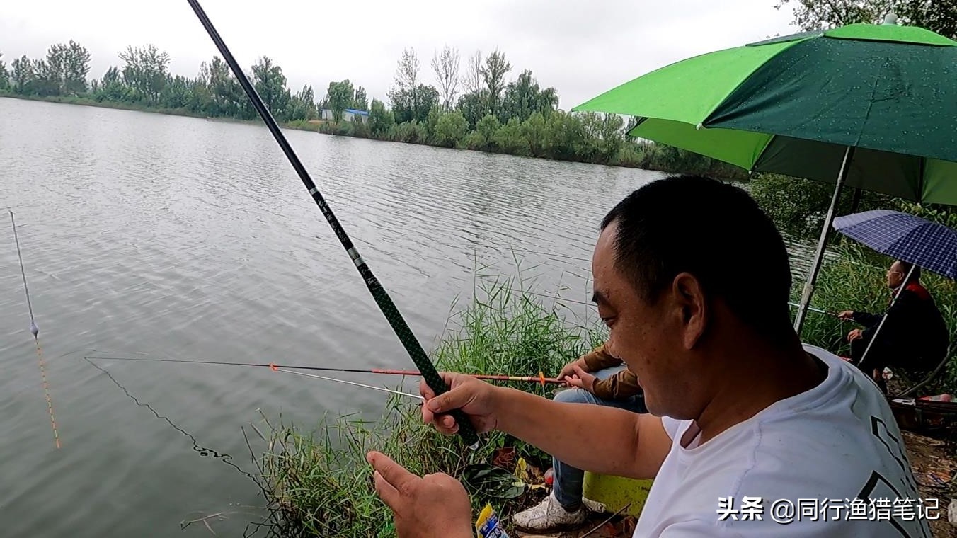 什么样的碳布做鱼竿最好,40t东丽碳布做鱼竿一米成本价多少