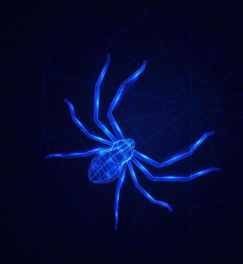 热带雨林十大危险动物蛇,亚马逊热带雨林最恐怖的蛇