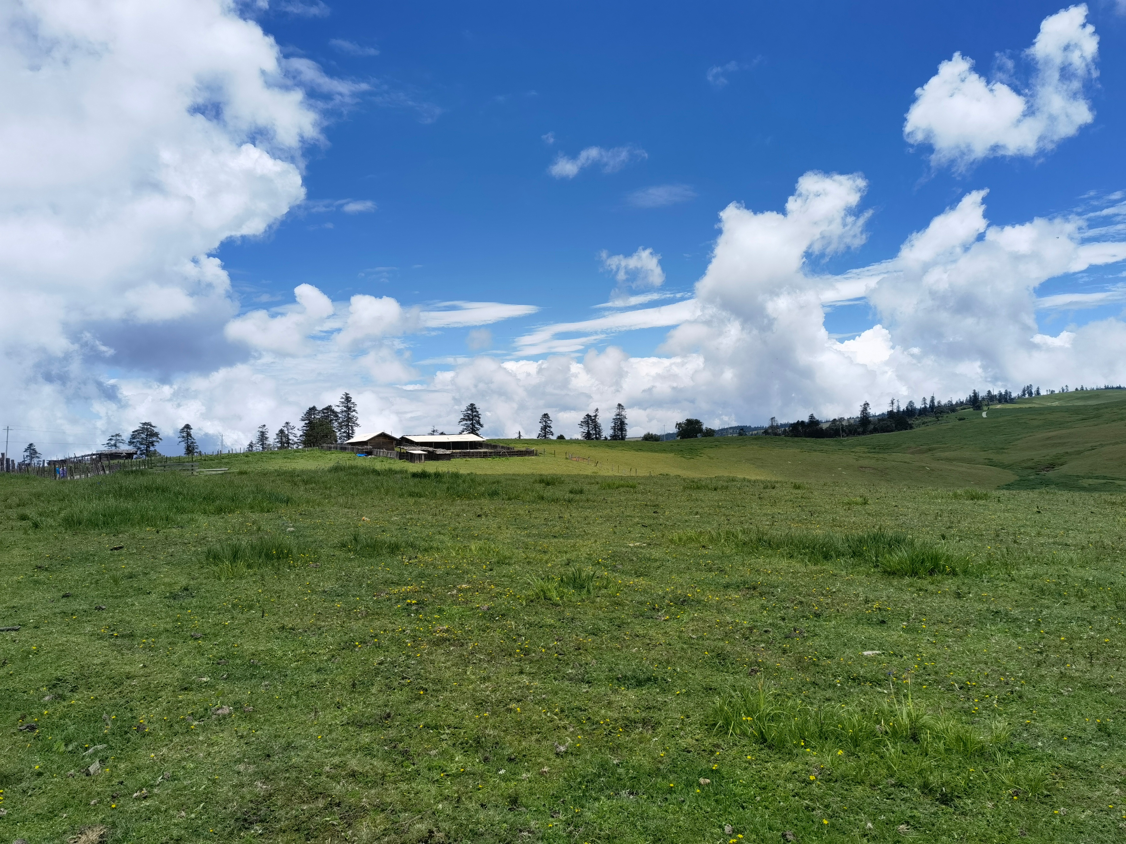 回想格拉丹，举杯对饮金沙石