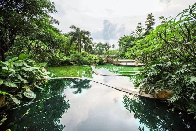 南海区中恒海晖城最新房价,佛山市南海区中恒海晖城二手房