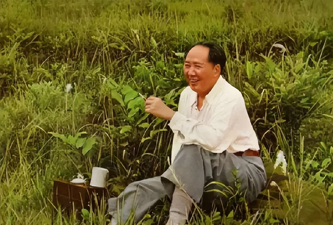 毛主席特制雪茄的由来，多亏了一位同志的引荐，毛主席爱不释手