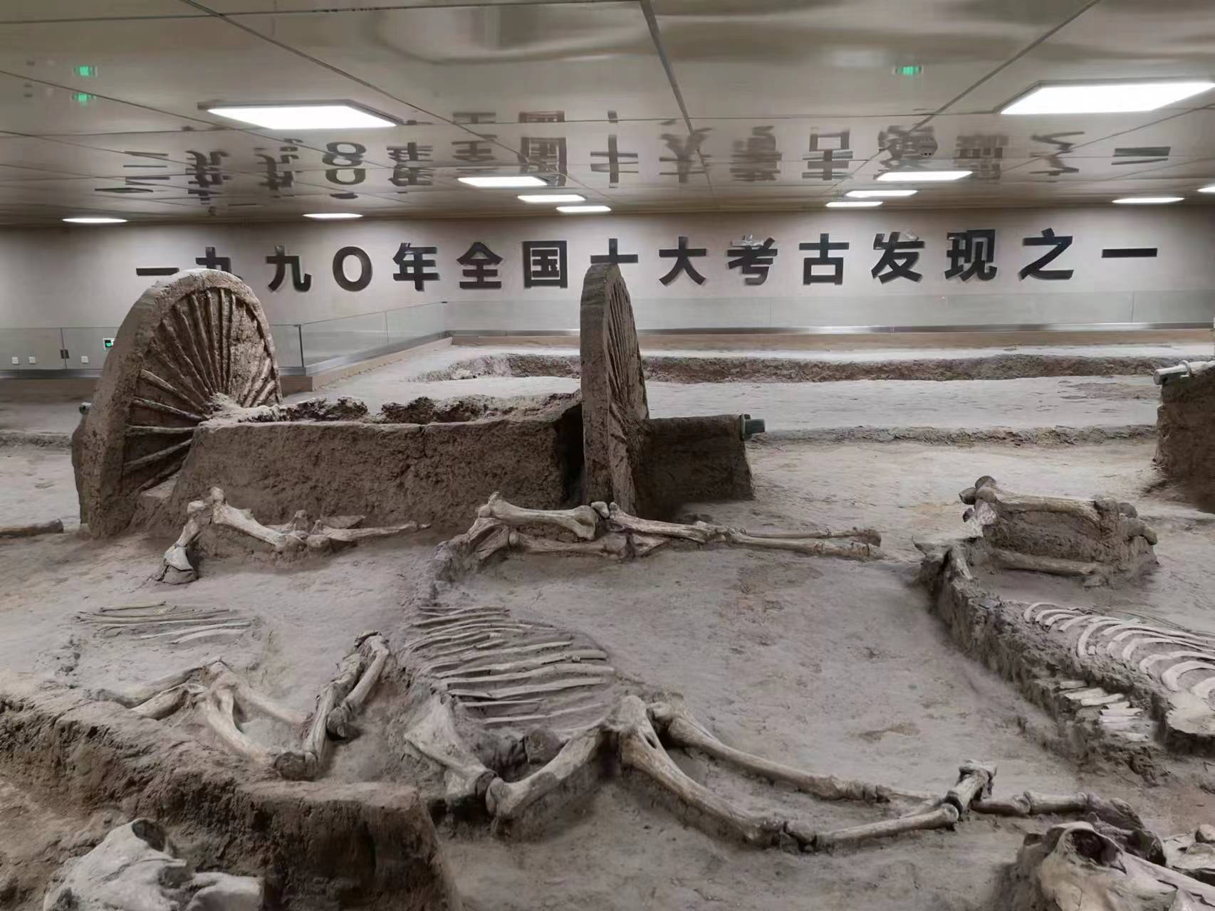 寻味山东淄博,淄博博物馆推荐