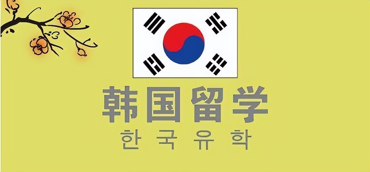 韩国留学要问中介的问题,韩国留学找中介