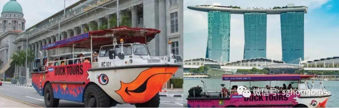 新加坡遛娃免费景点推荐一下,新加坡周末遛娃