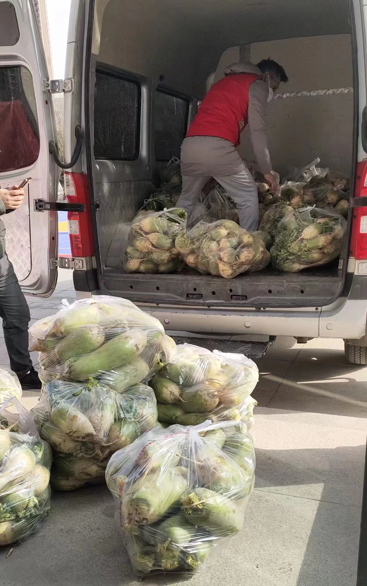 “卖萝卜救妹妹”后续┃爱心人士捐的5000斤萝卜已卖完，大爱捐助仍在继续……