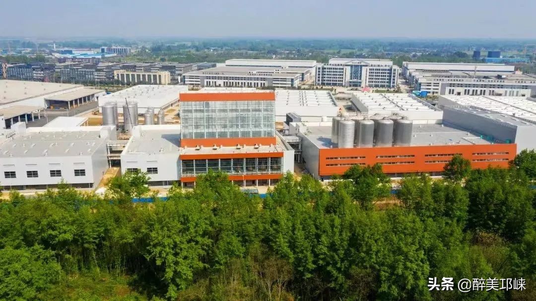 2021年，303.99亿！2022年，向未来！