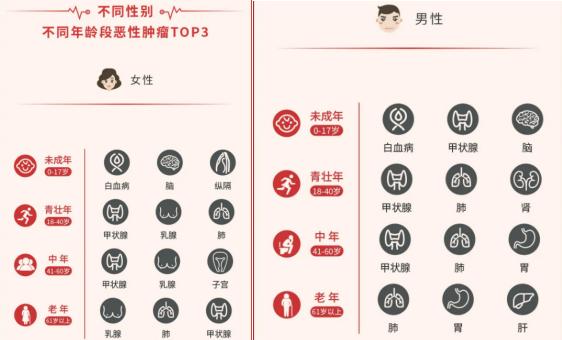 大黄蜂10号和青云卫3号哪个好,青云卫1号和大黄蜂7号哪个好