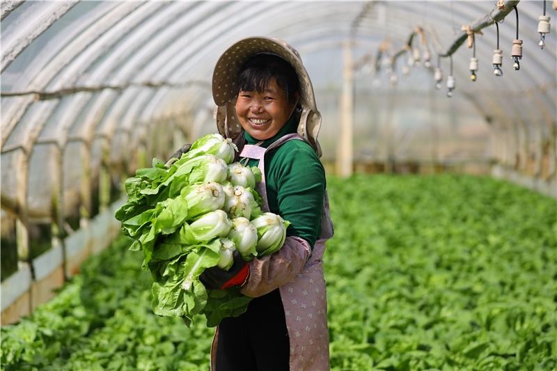 永辉超市的供应链优势有哪些,永辉超市是如何打造生鲜供应的