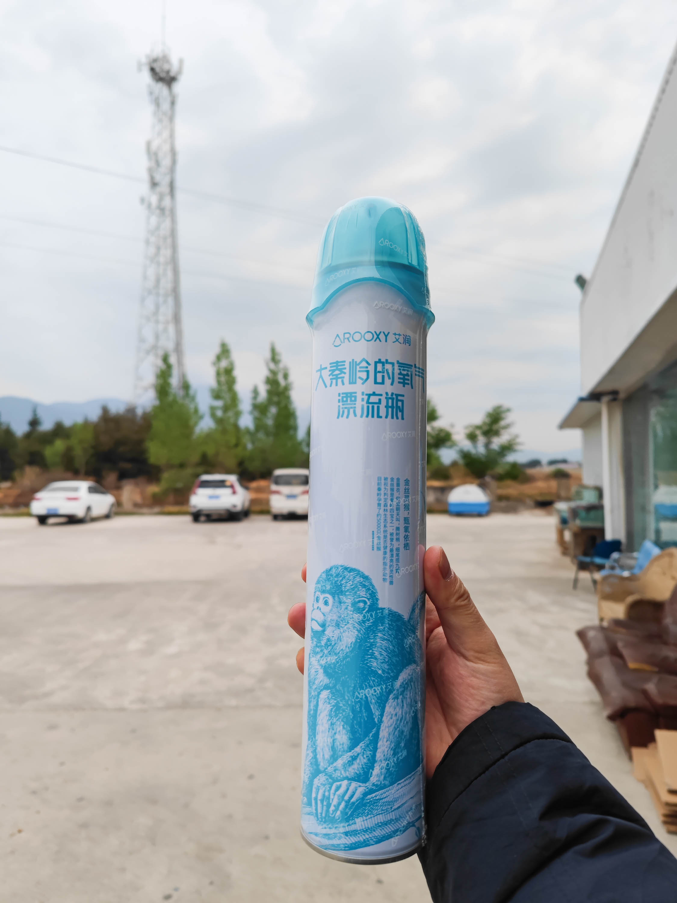 去云南跟团一日游攻略图片大全集,云南跟团六日游攻略大全图片