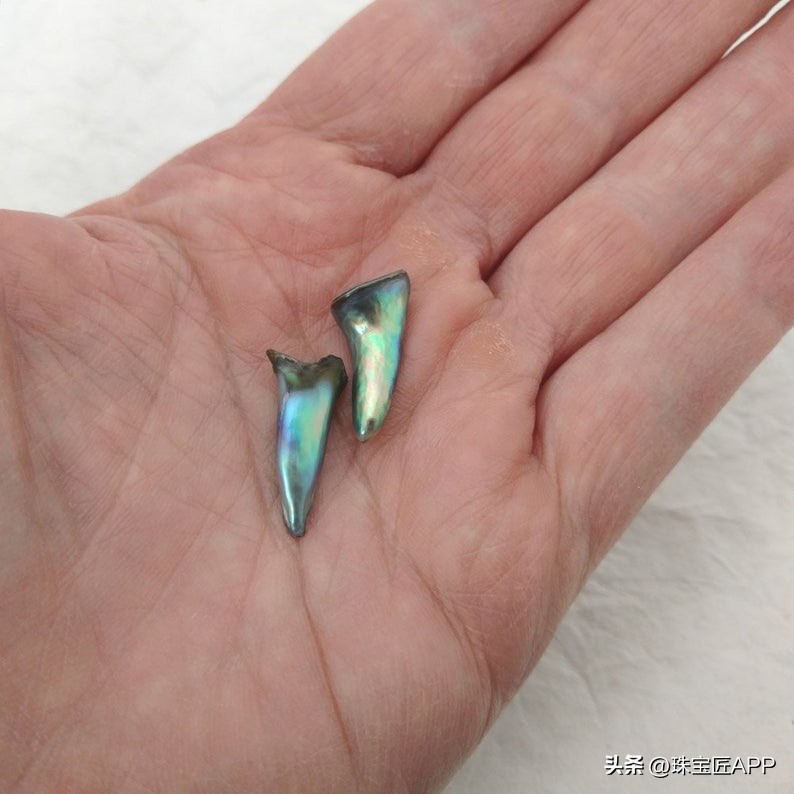 烧烤鲍鱼成品,鲍鱼里面也有珍珠