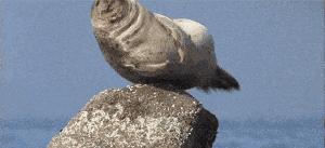 打嗝怎么办三招教你快速治疗打嗝,打嗝打不上来堵得慌怎么快速打嗝