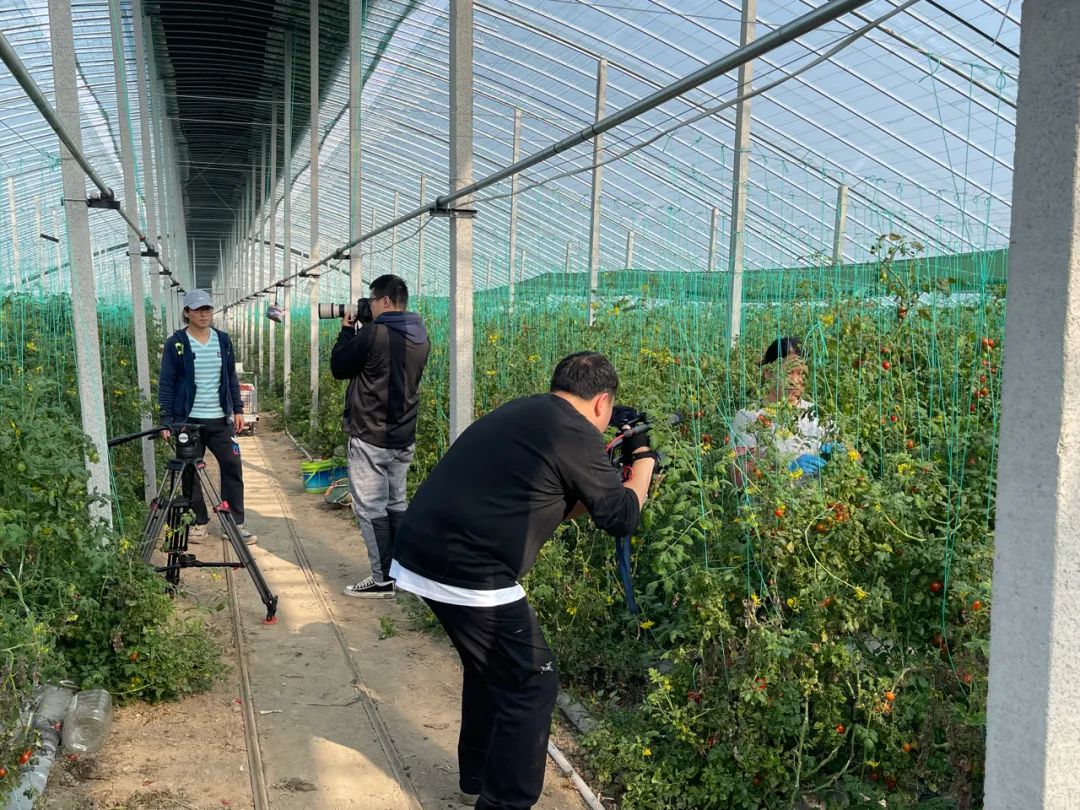 向阳而生编导,向阳而生主持稿