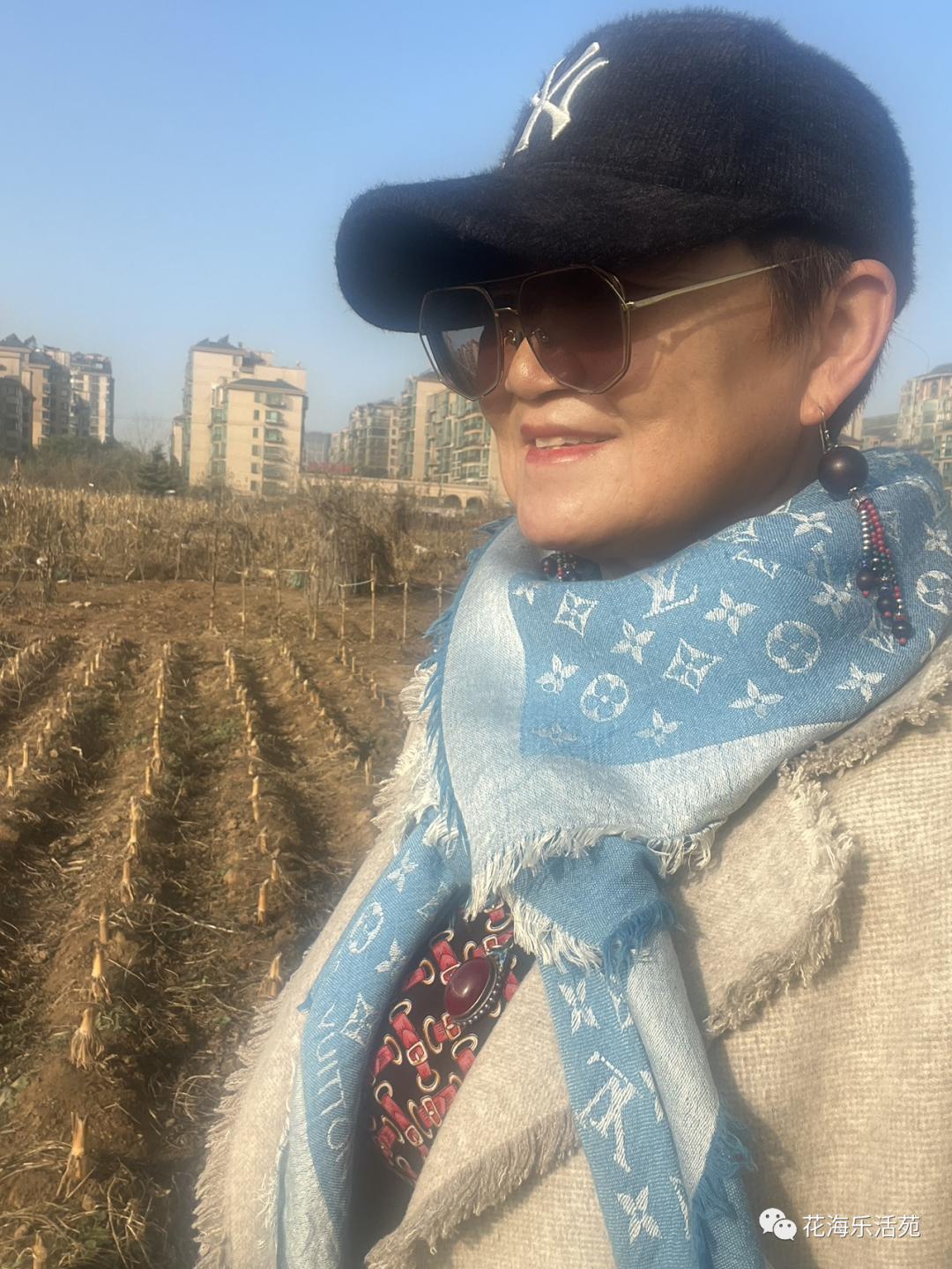 看世界杯足球比赛有感,看世界杯日记300字