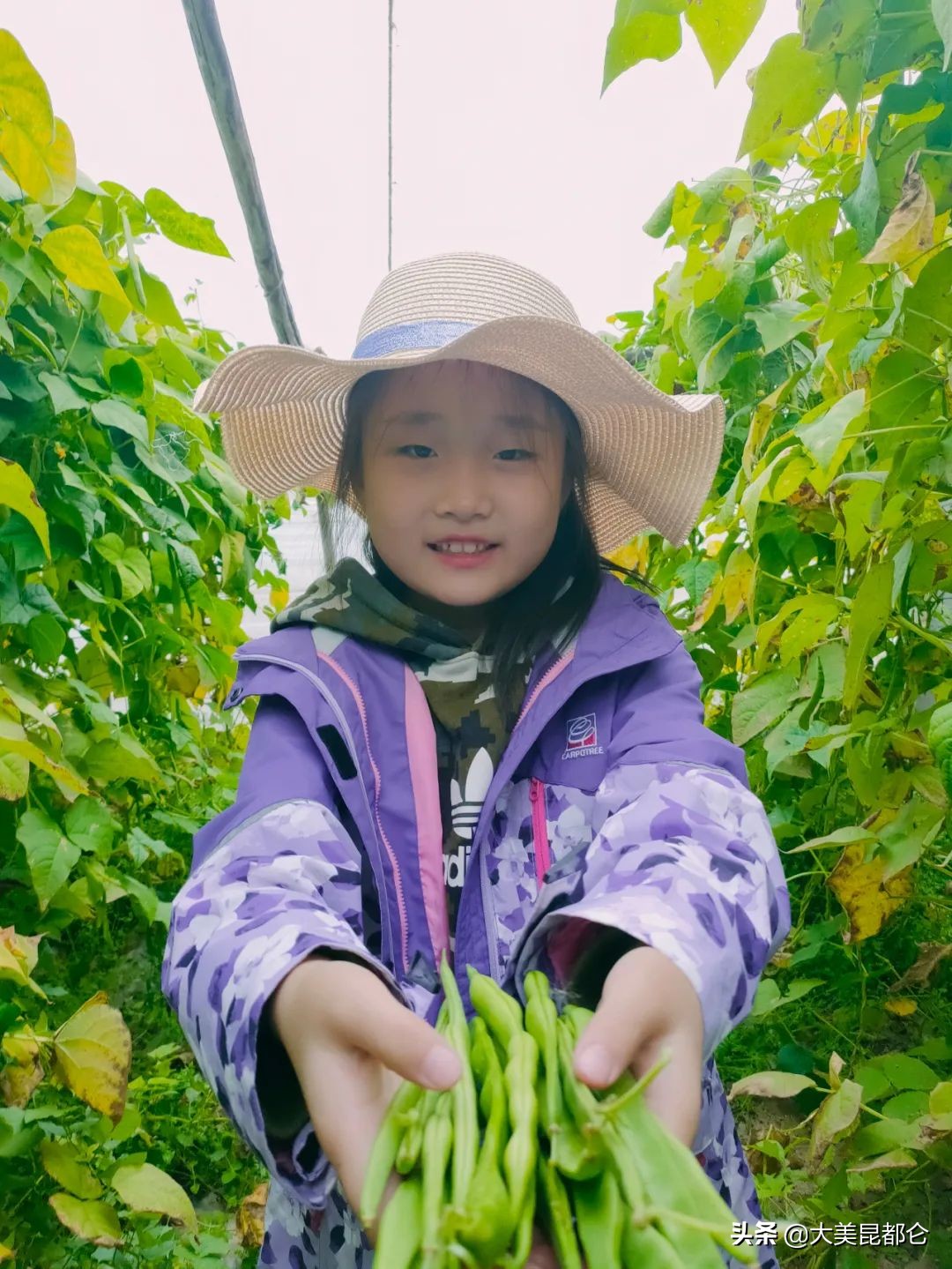 鏄嗛兘浠戝尯鏂版椂浠ｅソ灏戝勾,蹇潵鐪嬬湅鏄皝瀹剁殑濞冨▋
