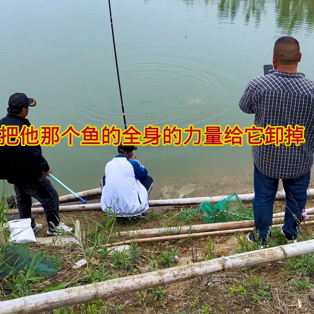 休闲野钓小钩细线遇大鲤鱼#新手垂钓技巧