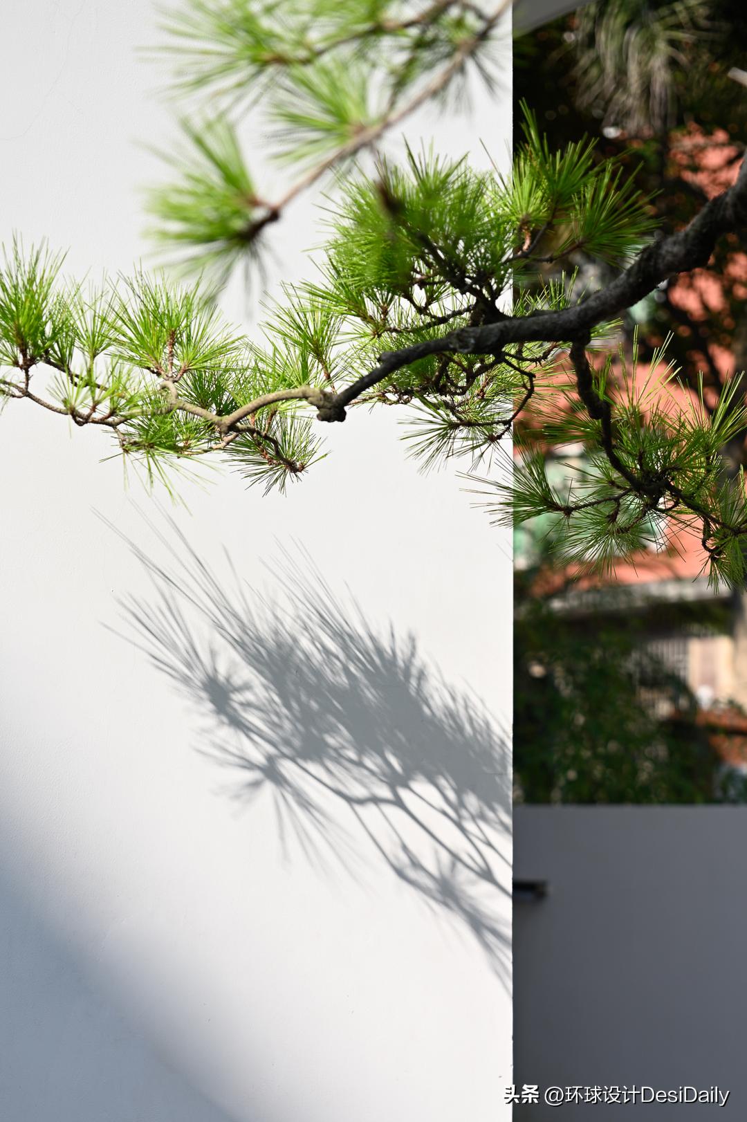 首发.墨问设计高晓峰｜​合而相生「环球设计3056期」