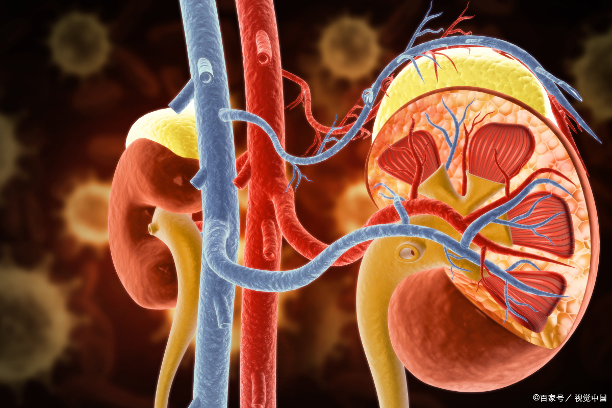 背痛的位置图和症状图,背痛的9大类常见原因