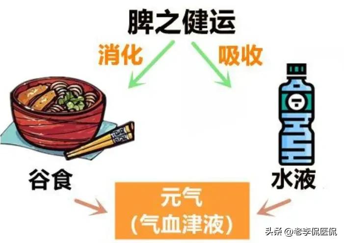 温脾醒脾中药,温脾健脾补脾的中药