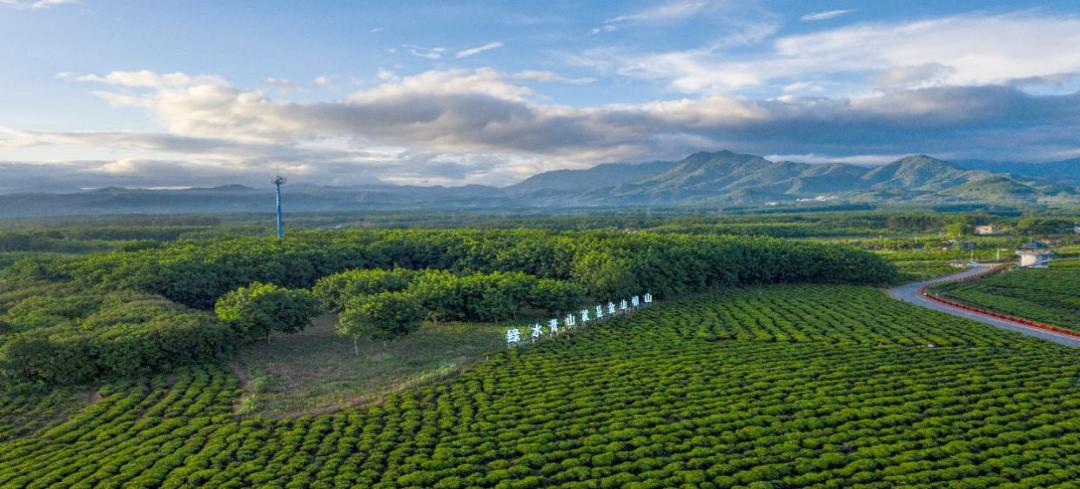 海南最新招商项目,海南自贸港土地流转建设投资