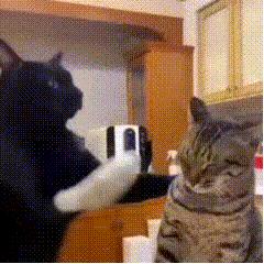 沙雕搞笑表情包头像,沙雕搞笑表情包图片静图