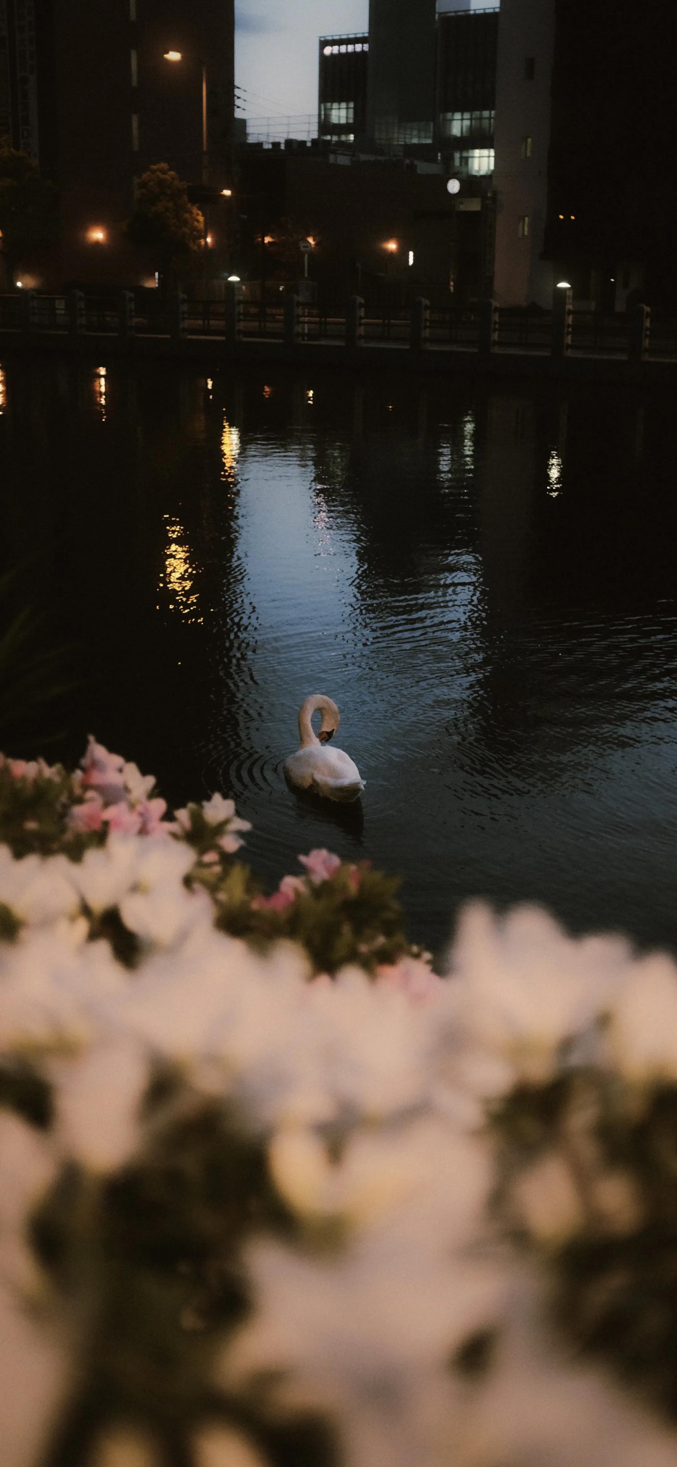 健身顶级黑色壁纸超清无水印,无水印高清壁纸全面屏黑色