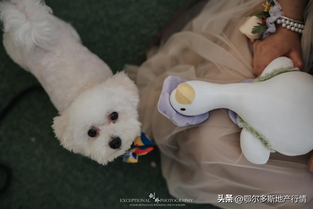 杰欣婚礼回顾|爱的里程碑