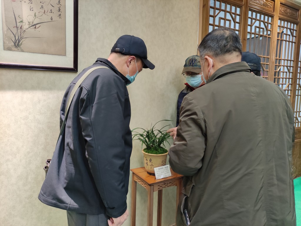 “金陵兰汇”兰花馆于江宁湖东29盛大开业,香飘四溢