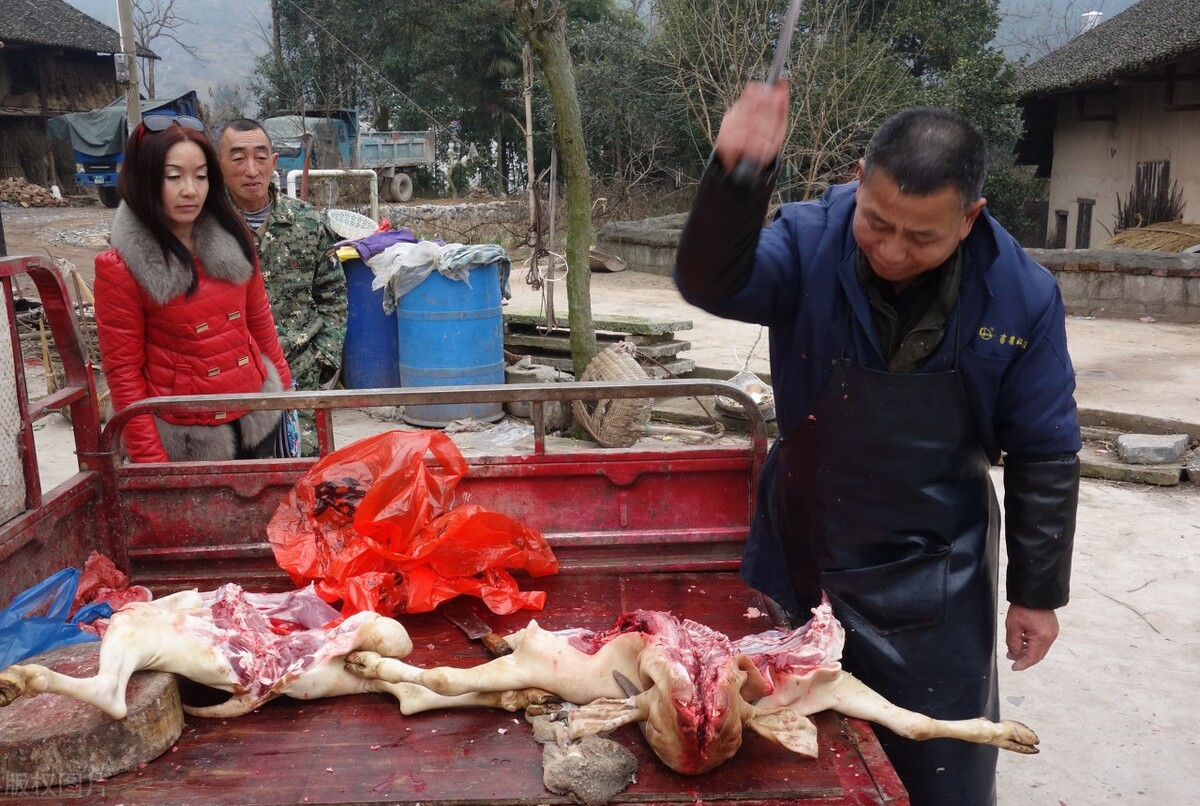 养羊技术大全口诀,养羊十大技术口诀