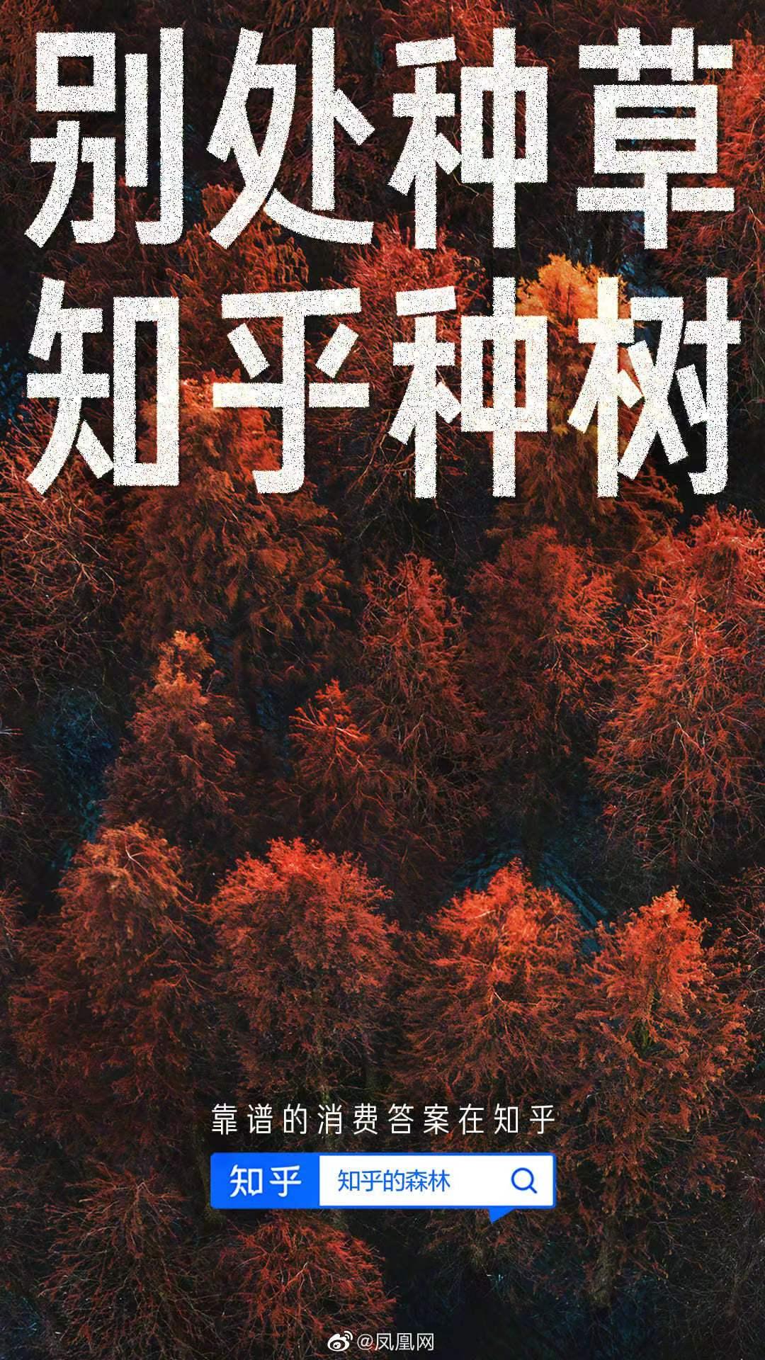 拔“假草”、“媛”生态、种“电商”…小红书能值20个“知乎”吗