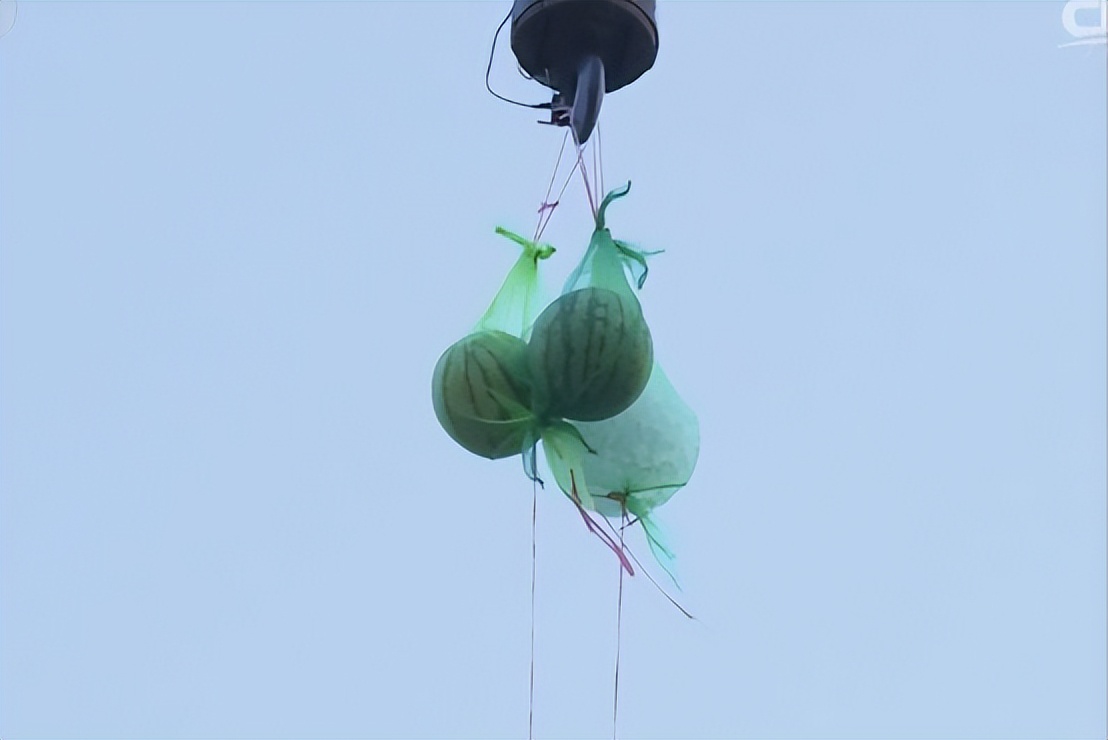 户外防晒防水保护神器,自制防刮蹭防砸车库