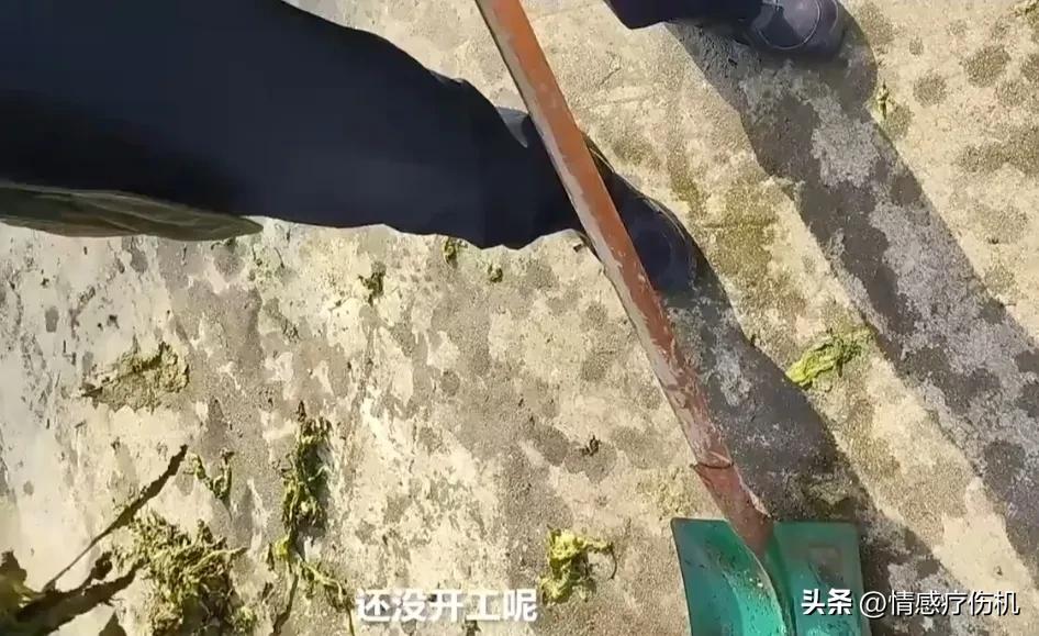 垃圾成食品原料，“橄榄菜”接棒“老谭酸菜”蓄力315