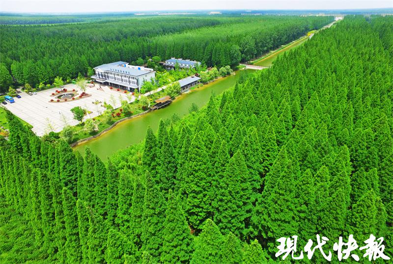 观察丨站上江苏第一等次，“大块头”盐城何以成为“优等生”