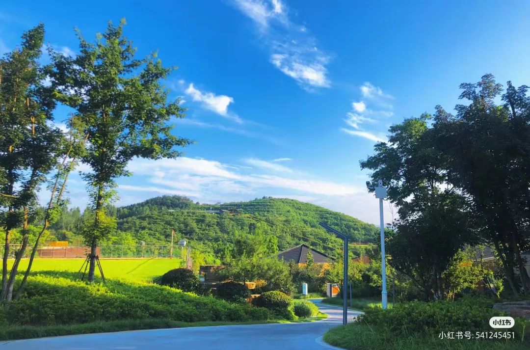 信阳十大旅游乡村,信阳周边乡村旅游景点推荐